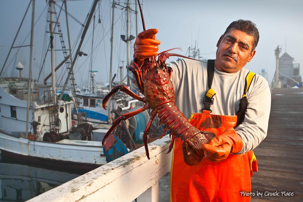 Santa Barbara Lobster Fisherman