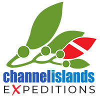 Channel Islands Expeditions Logo