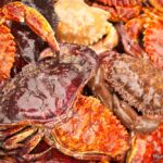 Santa Barbara Harbor Dungeness Crabs