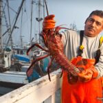 Santa Barbara Lobster Fisherman