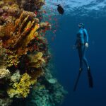 Free diver surfacing near coral reefs in Santa Barbara